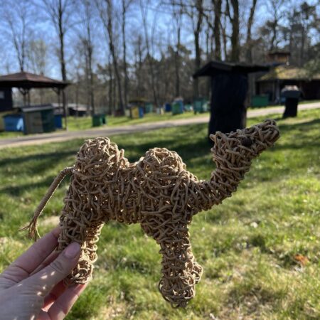 Wielbłąd ze sznurka