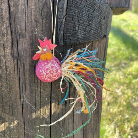 Kogut wiszący z orzecha fuksja