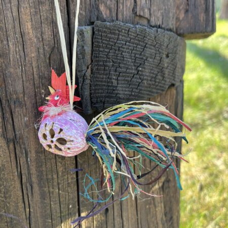 Kogut wiszący z orzecha fioletowy z czerwoną głową